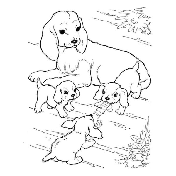 Щенок. Раскраска