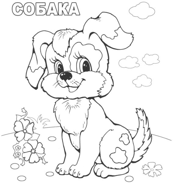 Мои любимые животные раскраски для детей