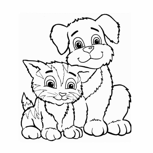 Кошки и собаки. Раскраска