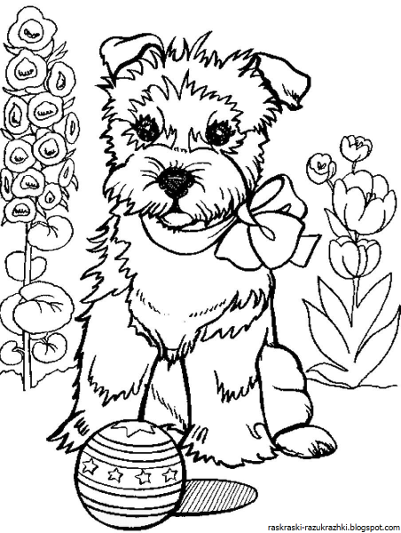 Щенок. Раскраска