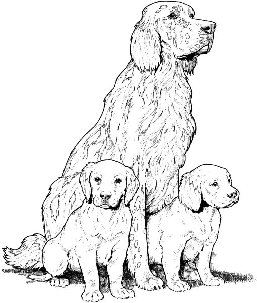 Раскраски собачка с щенятами (44 фото)