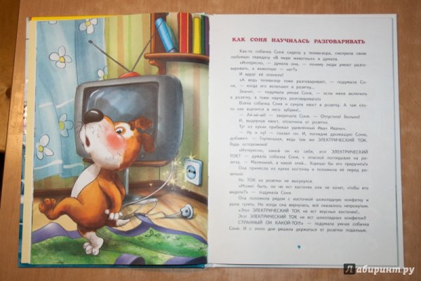 Собачка Соня книга Андрей усачёв