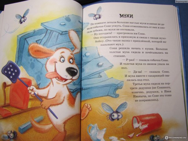 Усачев собачка Соня мухи