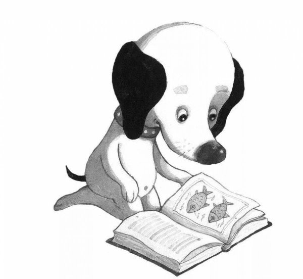 Умная собачка Соня мультфильм