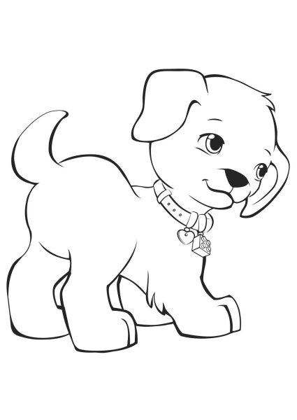 Pets раскраска