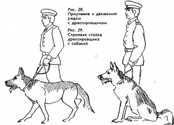 Раскраска пограничник