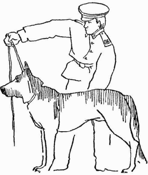 Раскраска Военная собака