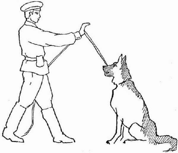 Раскраски солдат с собакой (47 фото)