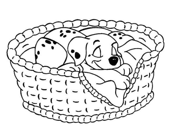 Раскраски щенки в корзине