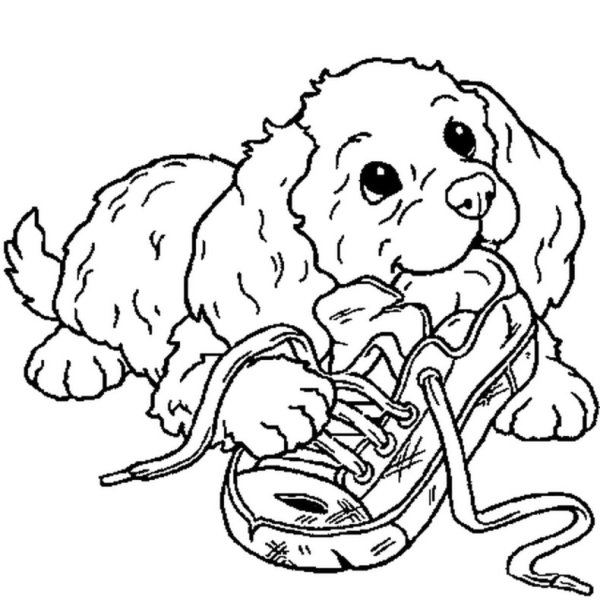 Кошкин щенок раскраска