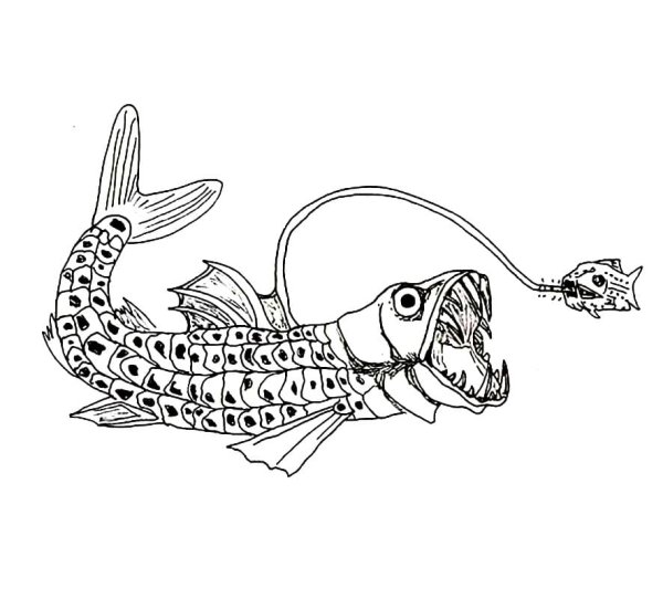 Морские монстры раскраска
