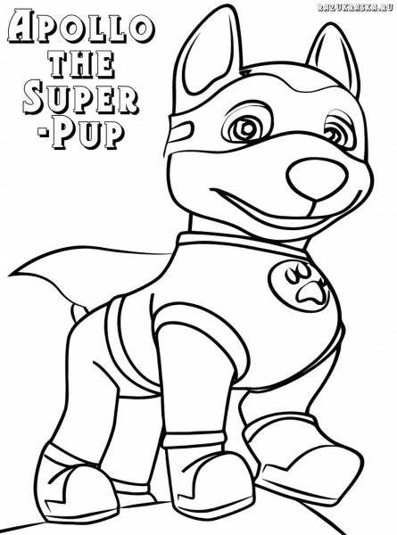 Coloring Paw Patrol Скай