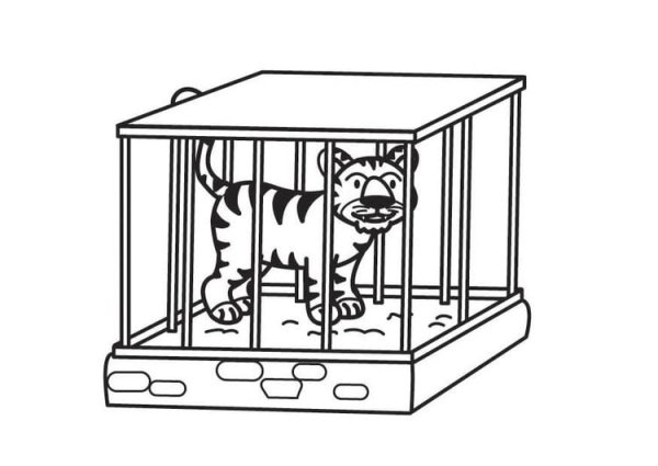 Раскраски тигр в зоопарке (46 фото)