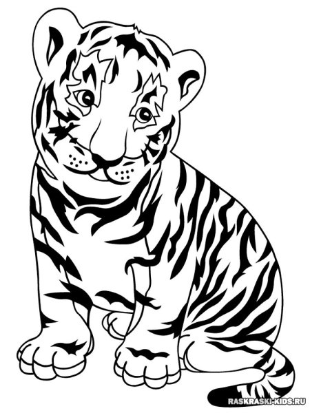 Раскраски тигр для ребенка (46 фото)