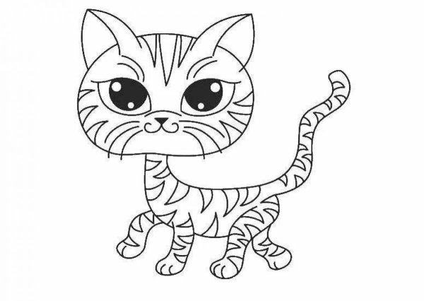 Раскраска кот