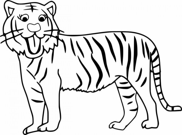 Раскраски тигр простая (47 фото)