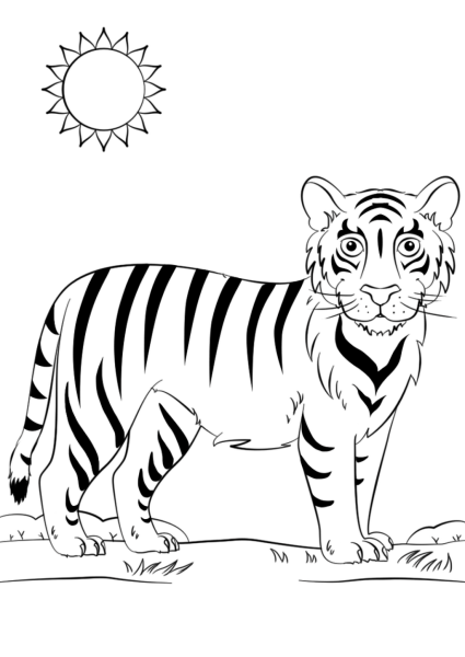 Раскраски тигр раскрашенный (49 фото)
