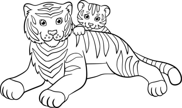 Раскраски тигр с тигрицей (48 фото)