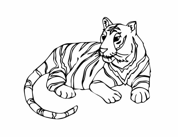 Рисунок тигра
