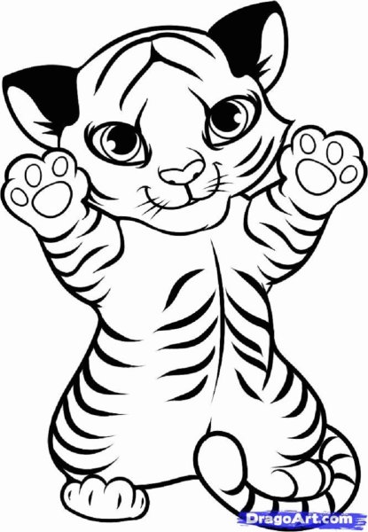 Раскраски тигра для срисовки (48 фото)
