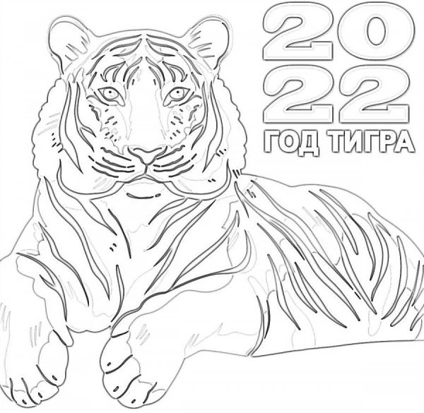 Тигр раскраска 2022