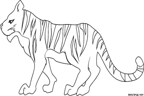 Кошка с раскраской тигра