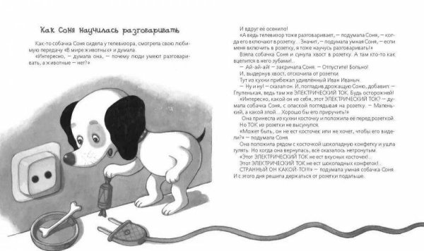 Умная собачка Соня розетка