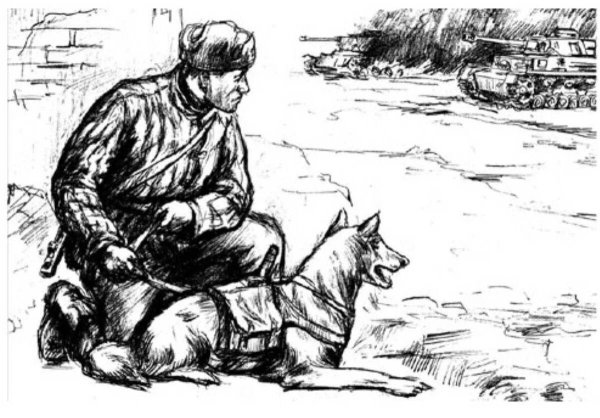 Иллюстрации собаки на войне