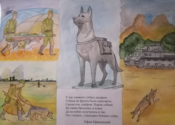 Фронтовая собака рисунок