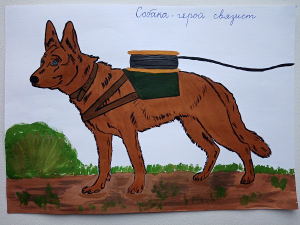 Конкурсные рисунки собак