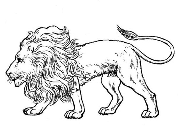 Раскраски хвост льва (45 фото)