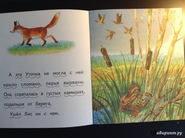 Виталий Бианки хитрый Лис и умная уточка