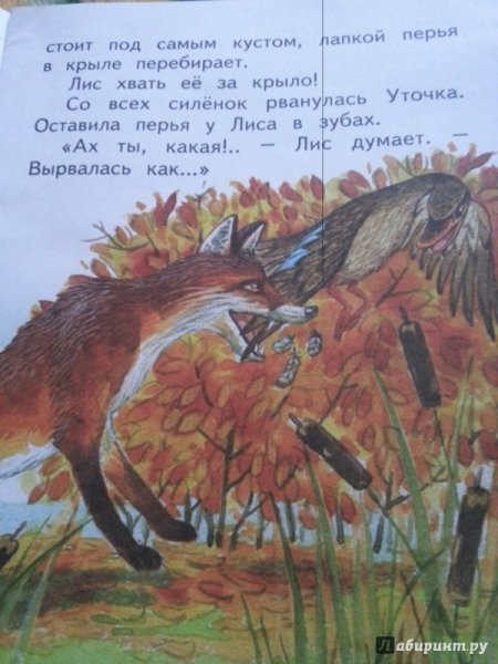 Бианки хитрый Лис и умная уточка