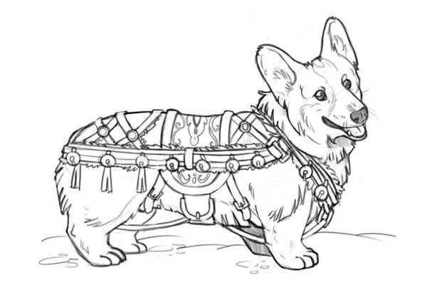 Раскраска собака корги