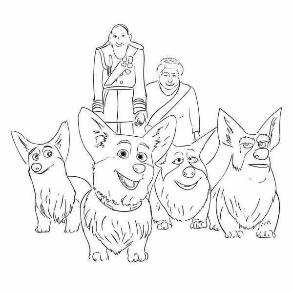 Разукрашка корги Королевский