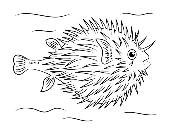 Морские рыбы раскраска