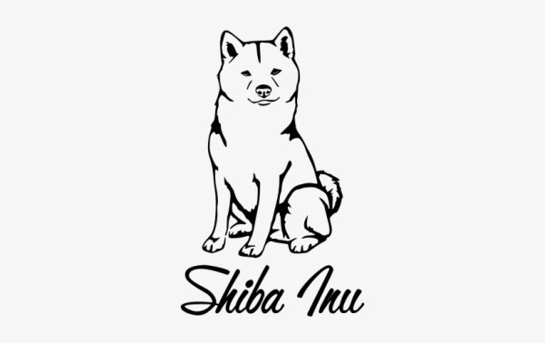 Тату сиба ину эскиз