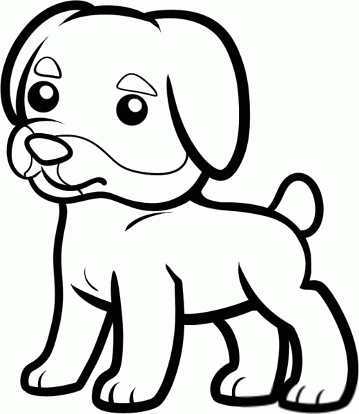 Pets раскраска
