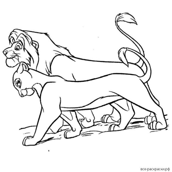 Раскраски король лев сараби (40 фото)