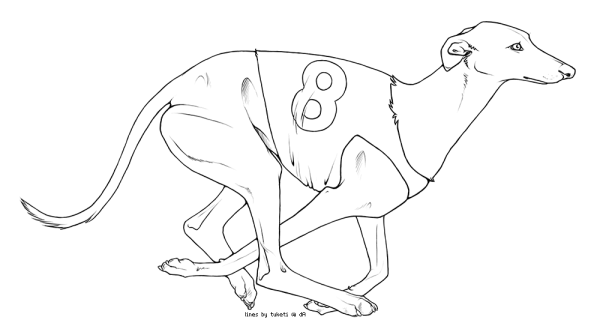 Борзая раскраска