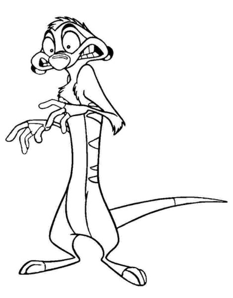 Eskiz Disney Тимон
