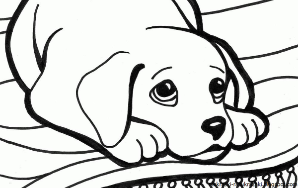 Coloring Dog lick face