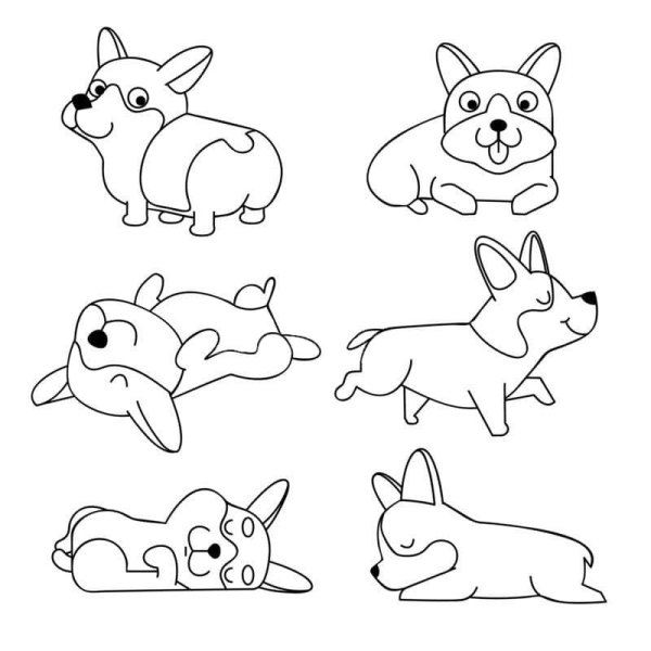 Вельш корги раскраска