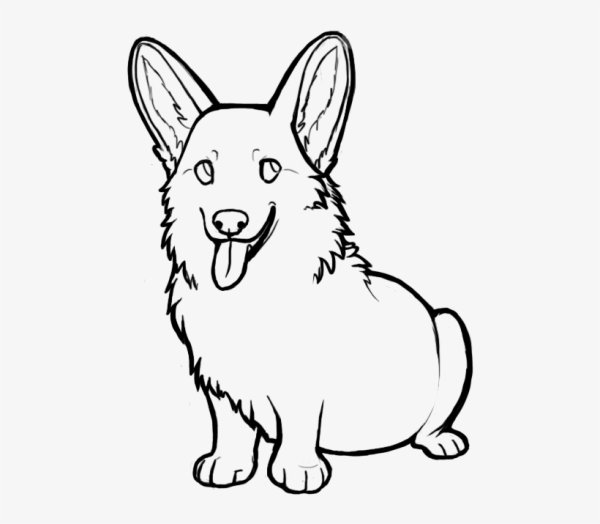 Вельш корги раскраска
