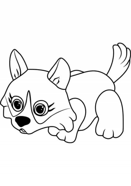 Раскраска корги