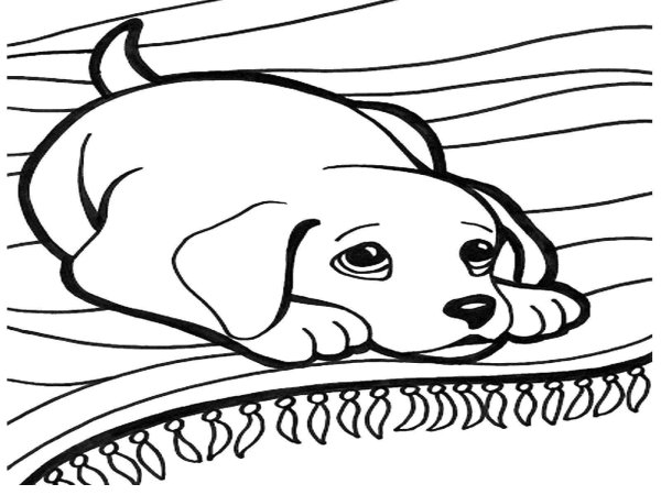 Раскраски щенок на коврике (45 фото)