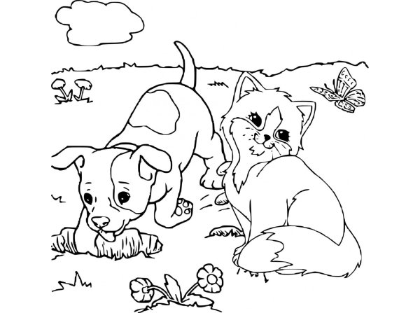 Раскраски кот и собака (46 фото)