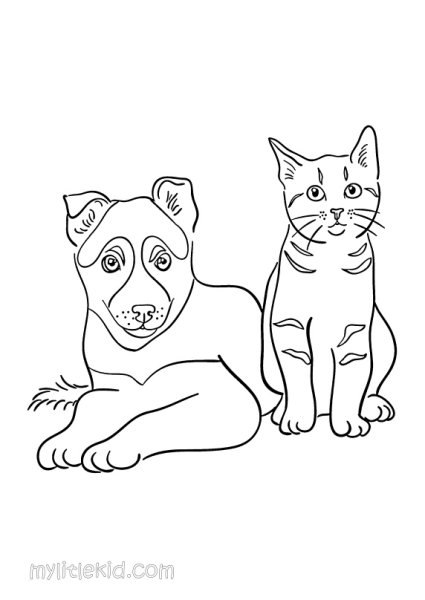 Срисовать кошку и собаку