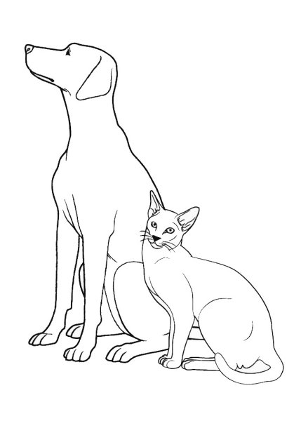 Кошки и собаки. Раскраска