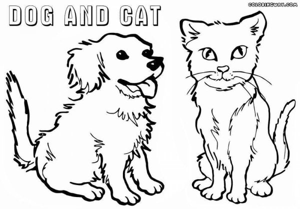 Раскраска кот и собака